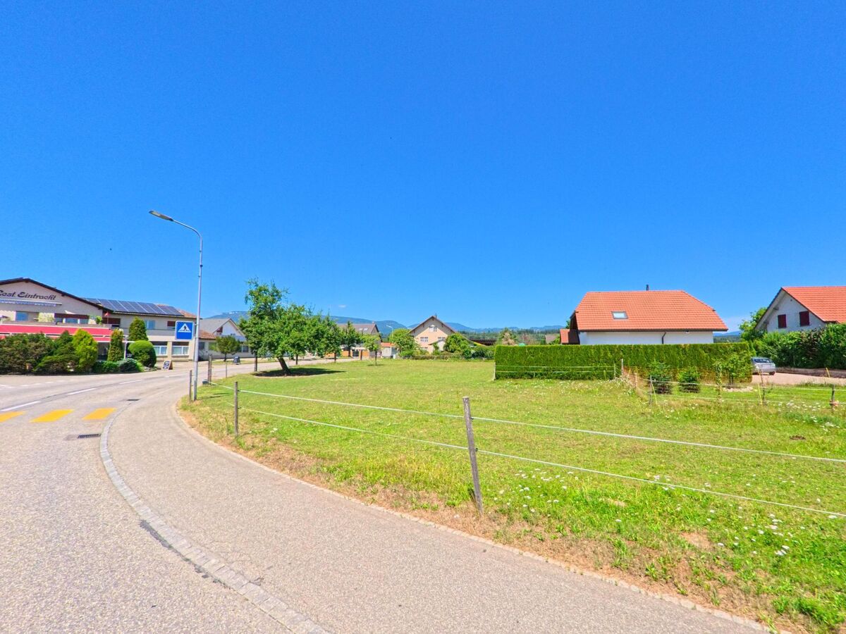 Am Ortsrand von Wolfwil (4628, Kanton Solothurn) verläuft eine kurvige Strasse entlang offener Wiesen und einzelner Einfamilienhäuser mit roten Dächern.