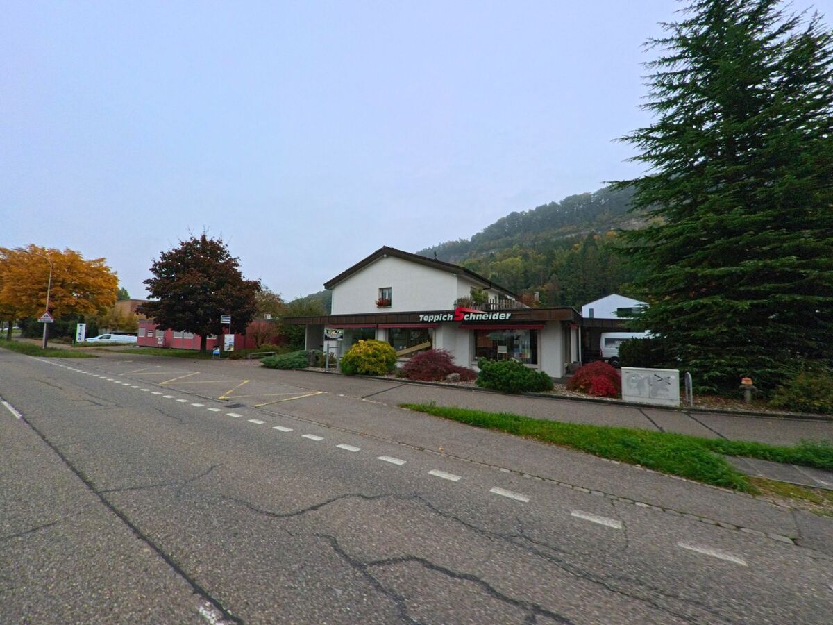 Entlang der Hauptstrasse in Wuerenlingen (5303, Kanton Aargau) liegt ein Fachgeschaeft vor bewaldetem Hang, umgeben von farbigen Straeuchern und Parkflaechen.