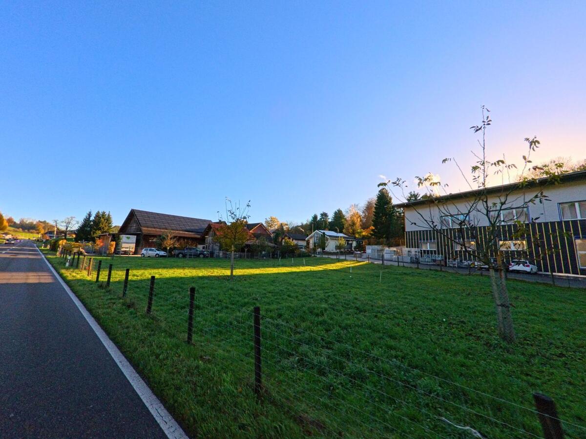 Neben einer ruhigen Strasse in Wuppenau (9514, Kanton Thurgau) liegt eine eingezäunte Gruenflaeche mit jungen Baeumen, dahinter reihen sich Wohn- und Wirtschaftsgebaeude im spaeten Tageslicht.
