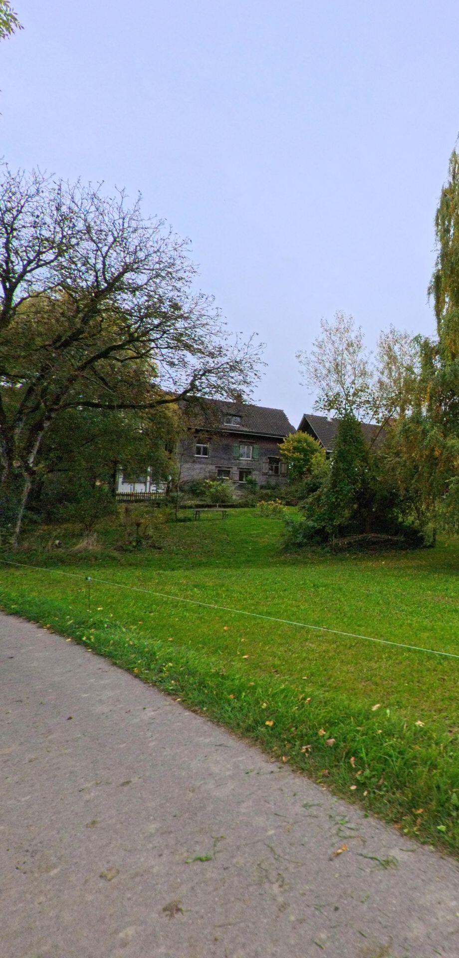 Hinter einer ruhigen Strasse in Wuppenau (9514, Kanton Thurgau) liegt eine leicht ansteigende Gruenflaeche mit alten Baeumen und einem laendlichen Wohnhaus im Hintergrund.