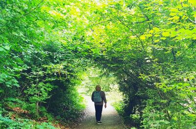 Im Erholungsgebiet Your Nature Anew in Basel (4052, Kanton Basel-Stadt) spaziert eine Person auf einem schmalen Weg unter dichtem Blaetterdach.