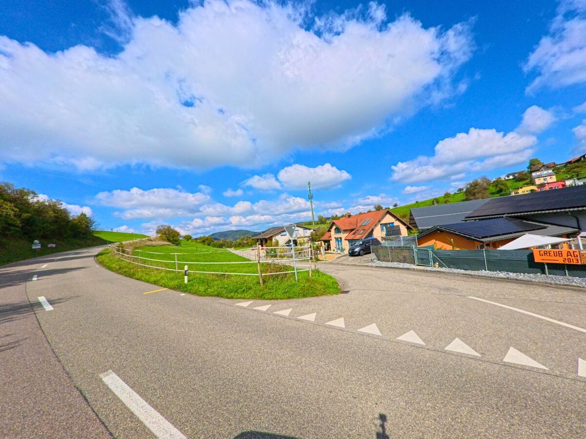 In Zeihen (5079, Kanton Aargau) fuehrt eine kurvige Landstrasse an Weiden vorbei, waehrend rechts ein kleiner Gewerbebereich mit farbigen Gebaeuden liegt.