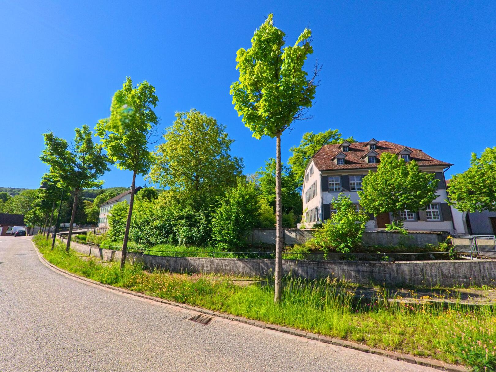 In Ziefen (4417, Kanton Basel-Landschaft) steht ein stattliches Wohnhaus mit Walmdach oberhalb einer ruhig gelegenen Strasse, gesäumt von jungen Bäumen und dichter Vegetation.