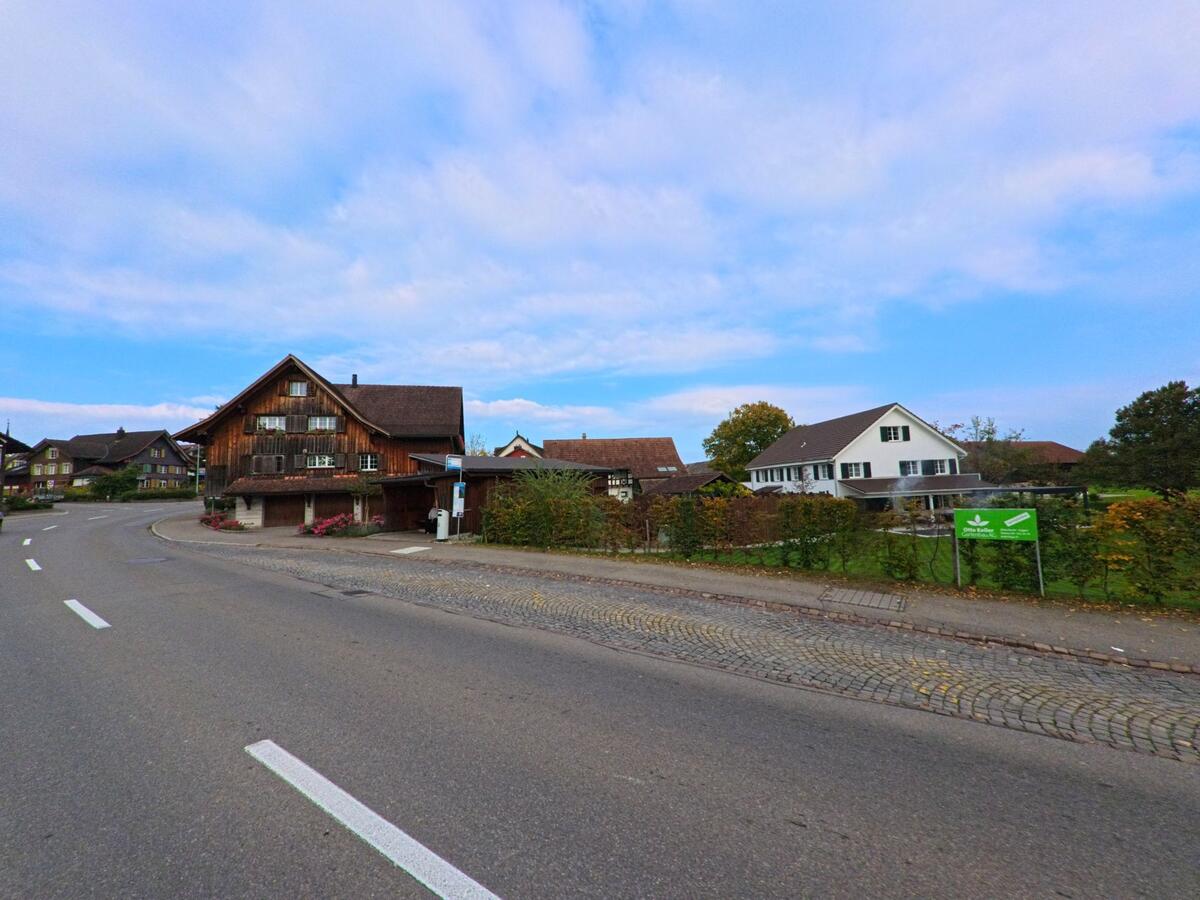 Entlang einer leicht gebogenen Dorfstrasse in Zihlschlacht-Sitterdorf (8588, Kanton Thurgau) stehen traditionelle Holzhäuser und moderne Wohnbauten nebeneinander vor ländlicher Umgebung.