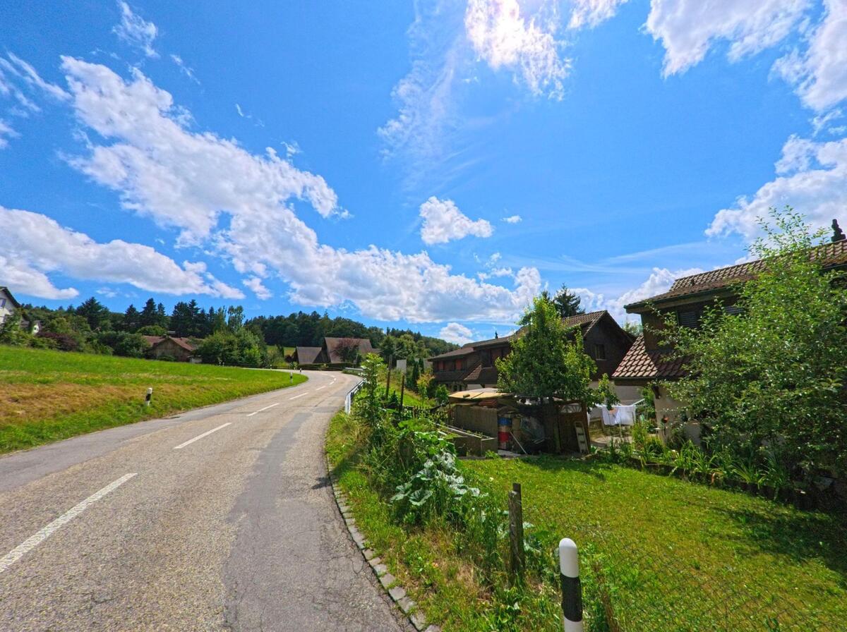 In Zofingen (4812, Kanton Aargau) führt eine leicht ansteigende Landstrasse an Wohnhäusern und Wiesen vorbei in Richtung Waldrand.