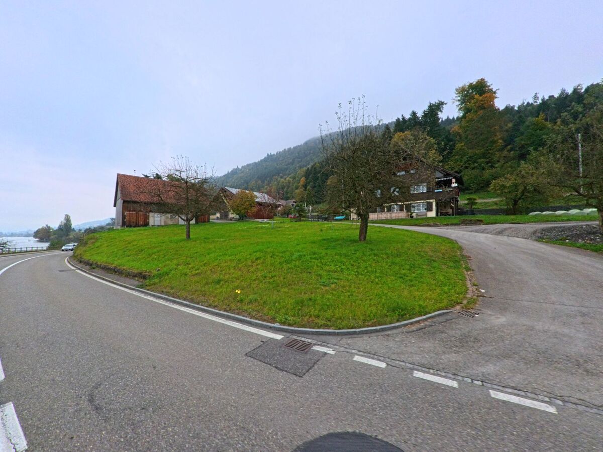 Eine geschwungene Strasse in Zug (6317, Kanton Zug) fuehrt an Obstbaeumen und traditionellen Bauerngebaeuden vorbei, waehrend der Hang im Hintergrund leicht im Nebel liegt.
