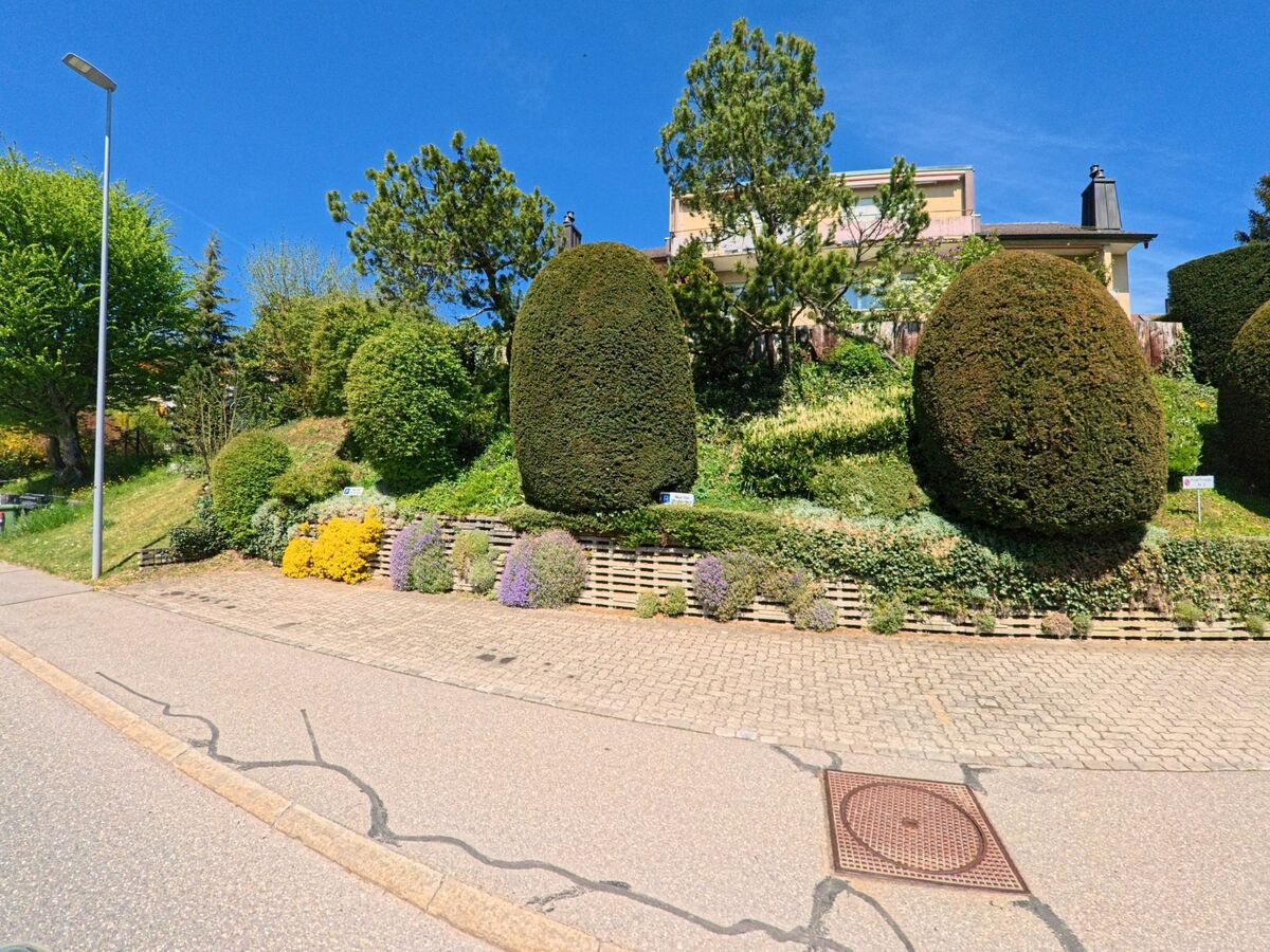 In Zumikon, PLZ 8126 im Kanton Zürich, säumen bunt blühende Pflanzen und kunstvoll geschnittene Sträucher den Hang eines gepflegten Wohnquartiers.