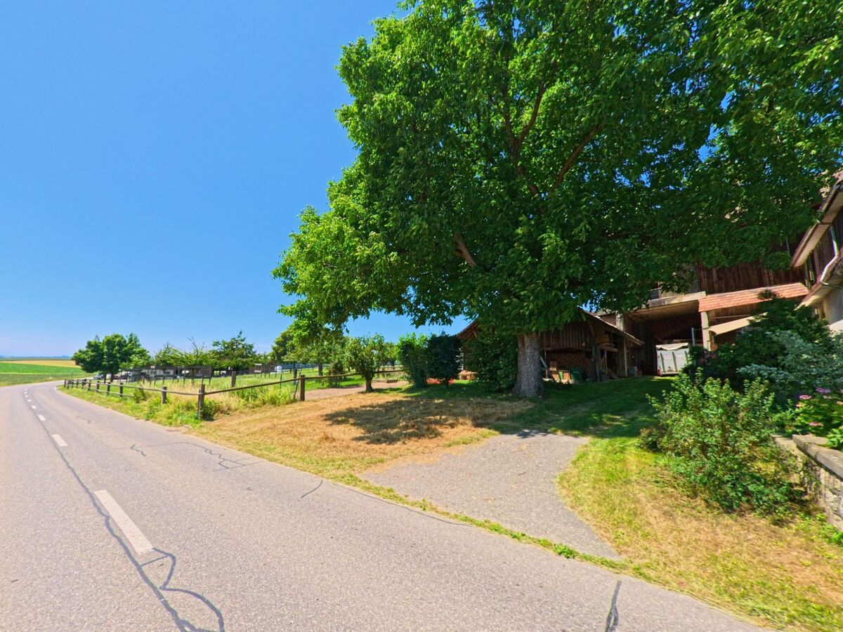 Ein grosser Laubbaum spendet Schatten vor einem landwirtschaftlichen Gebäude in Zuzwil (3303, Kanton Bern), das an einer leicht geschwungenen Landstrasse liegt.