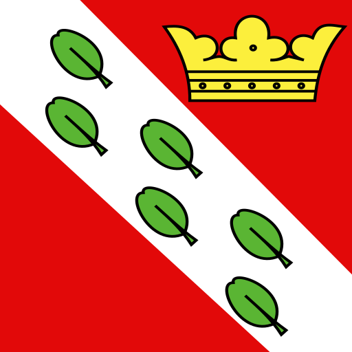 Herzogenbuchsee in Schweiz