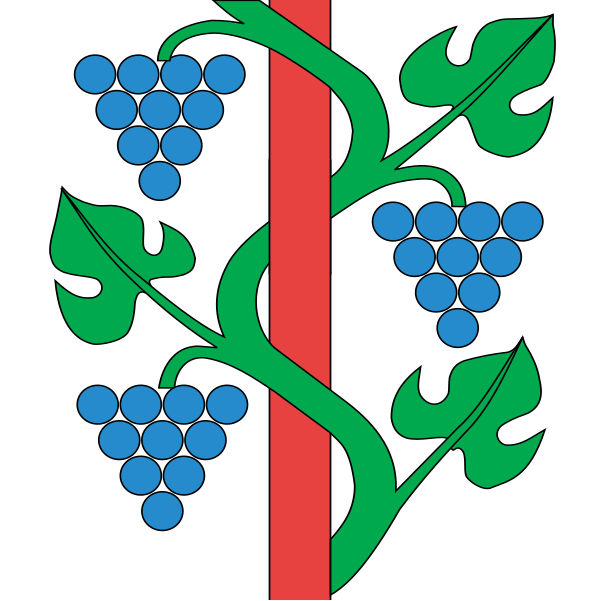 Weinfelden in Schweiz